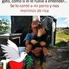ray_quintero